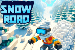 Snow Road